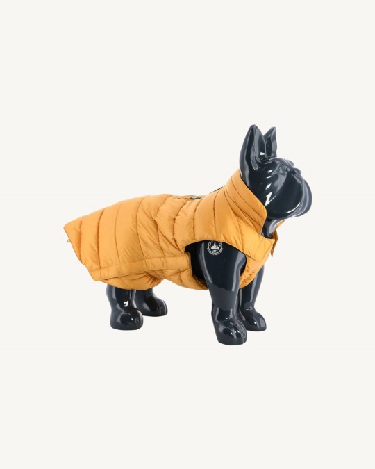 Jott Moutarde Dogs Dunjakke Woop