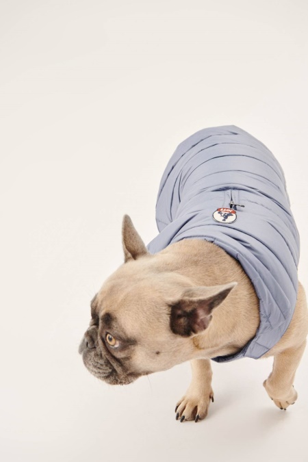 Blå Delave Hunde Dunjakke Woop Jott
