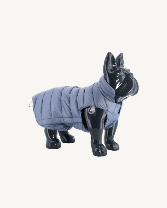 Blå Delave Hunde Dunjakke Woop Jott