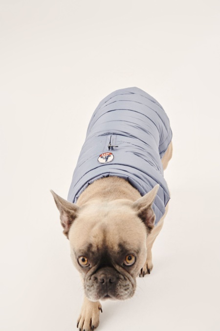 Blå Delave Hunde Dunjakke Woop Jott