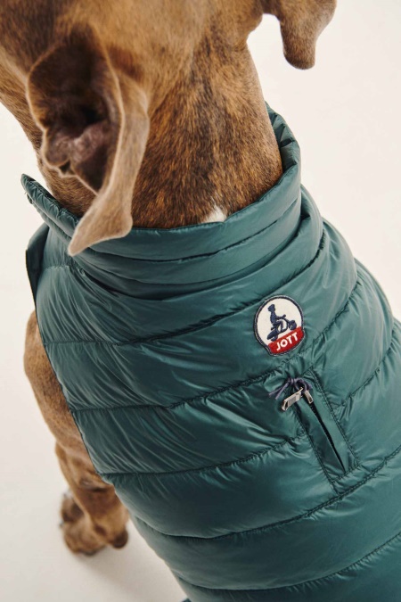 Jott Vert Fonce Dogs Dunjakke Woop