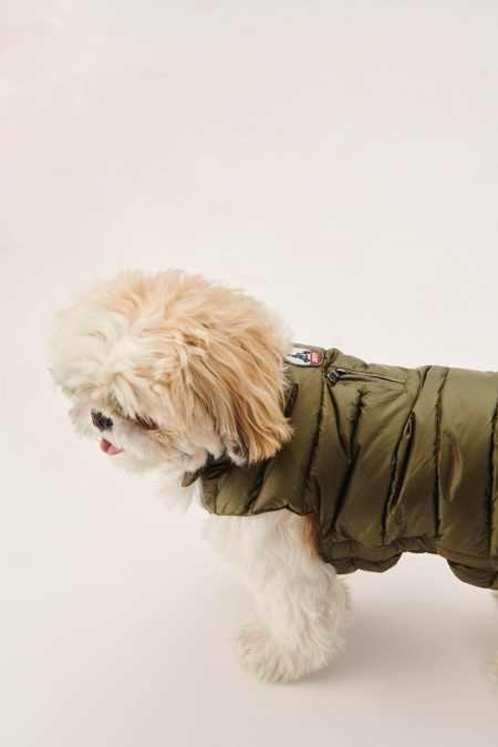 Army Dogs Dunjakke Woop Jott