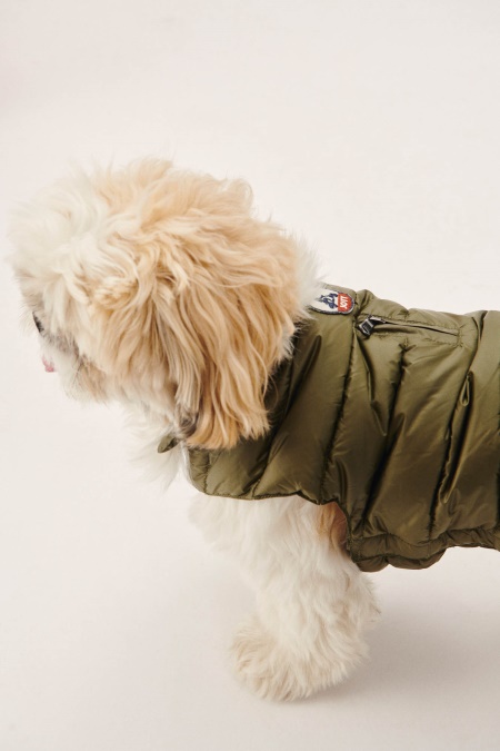 Army Dogs Dunjakke Woop Jott