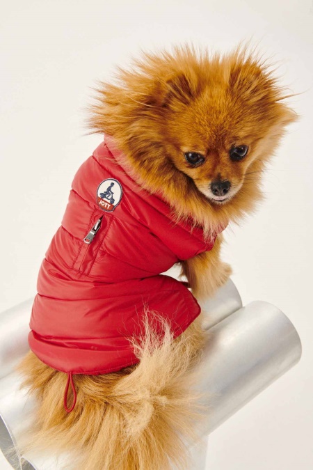 Jott Rouge Dogs Dunjakke Woop