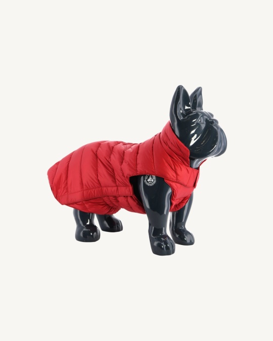 Jott Rouge Dogs Dunjakke Woop