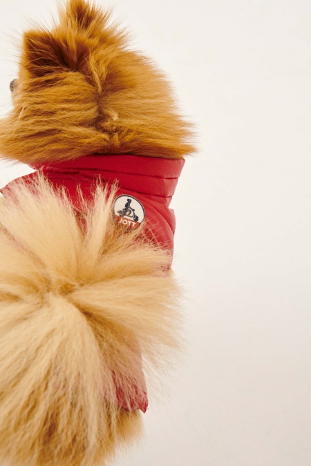 Jott Rouge Dogs Dunjakke Woop